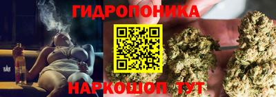 эйфоретик Канаш