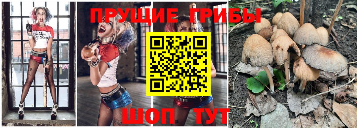 Галлюциногенные грибы мицелий Елабуга