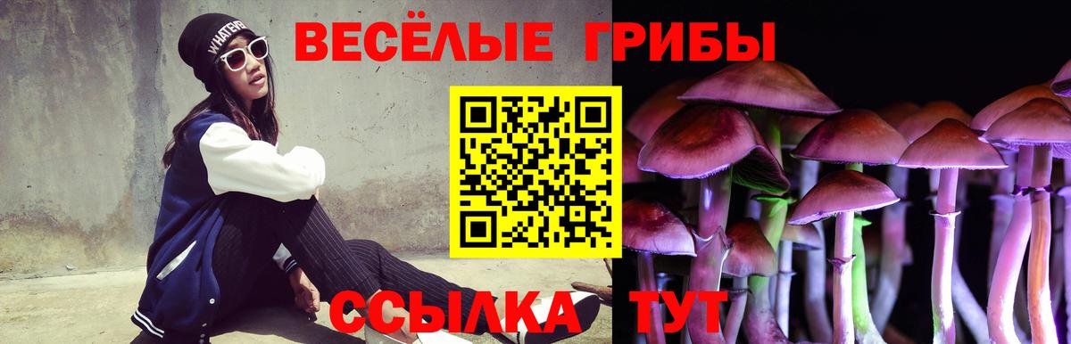 Галлюциногенные грибы мухоморы  Галлюциногенные грибы Magic Shrooms  Вход с VPN  Елабуга 